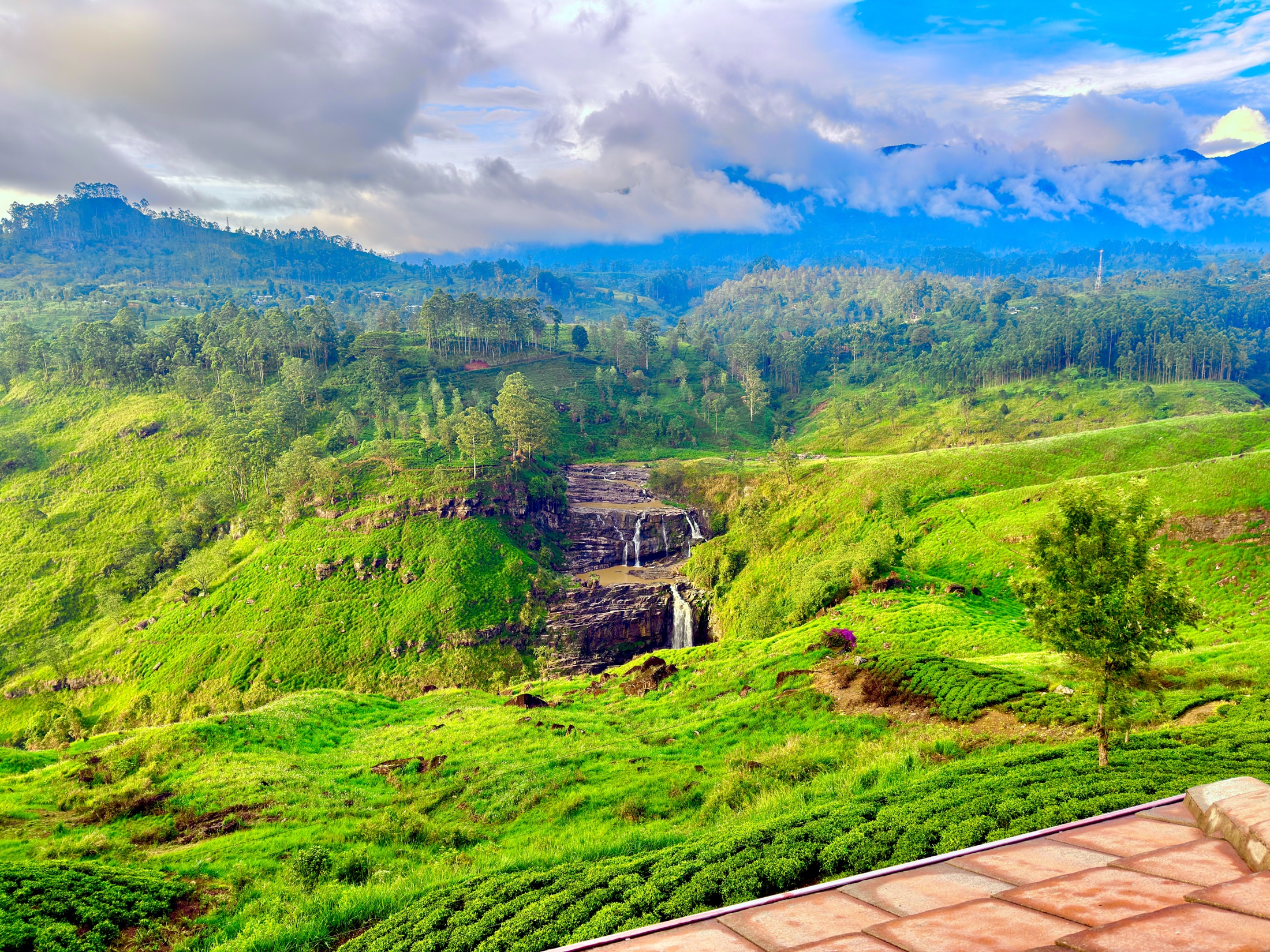 Tea estates in the central highlands