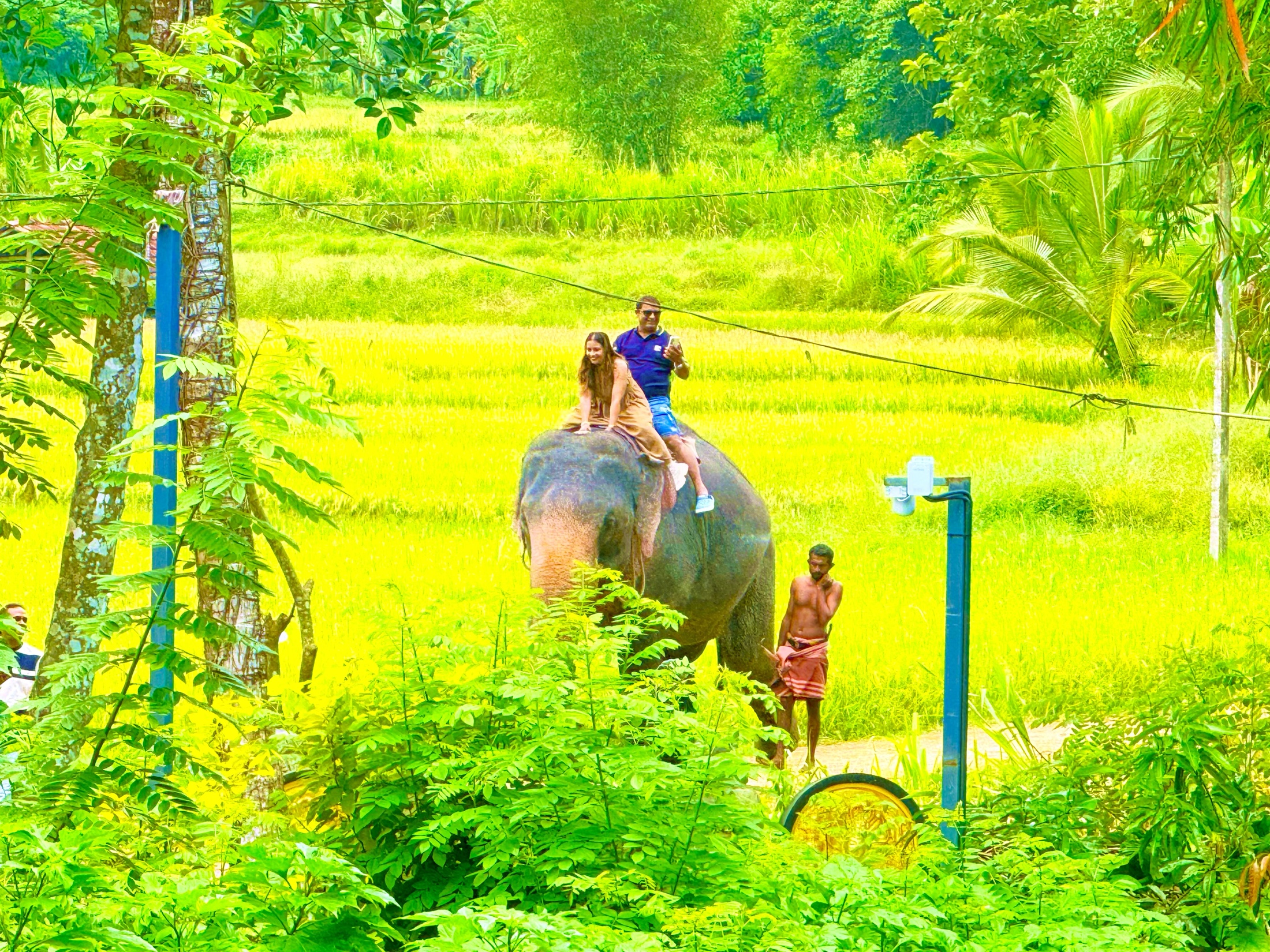 Nuwara Eliya scene 3