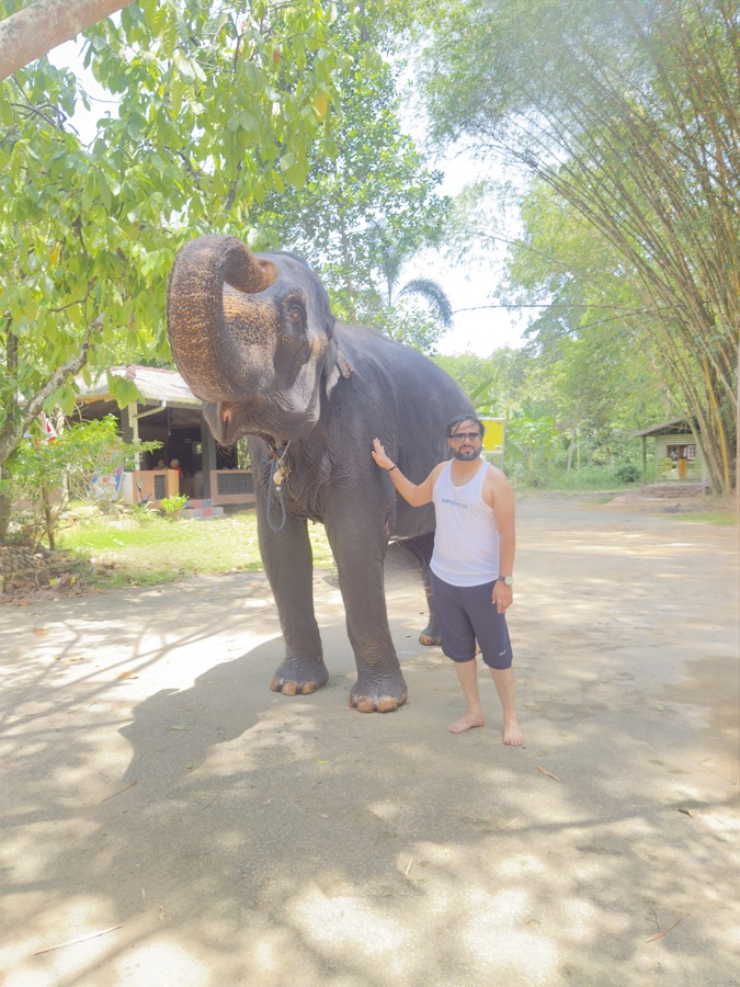 Traveler respectfully interacting with an Asian elephant in a Sri Lankan sanctuary