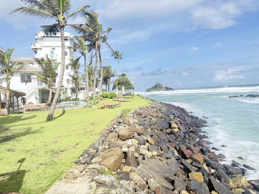 Vibrant tropical greenery and native plants blooming in the Sri Lankan climate