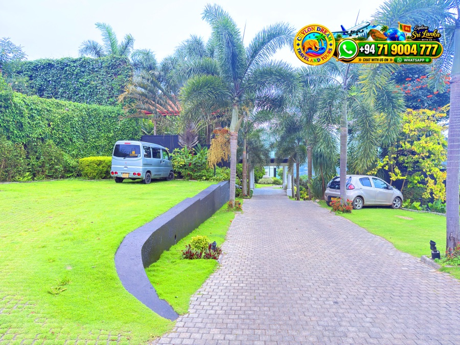 Picturesque driving route passing tropical palm trees and hillside villages