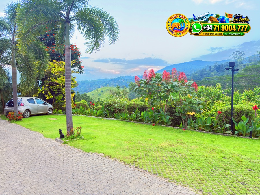 Guests experiencing authentic Sri Lankan sights and cultural landmarks