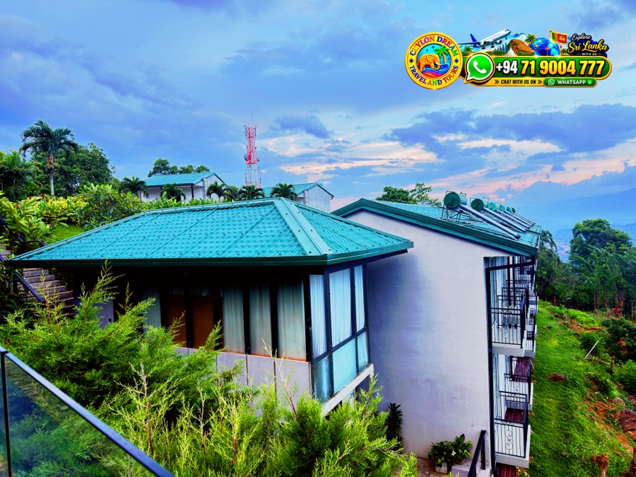 Cherished travel moments created through bespoke tours in Sri Lanka