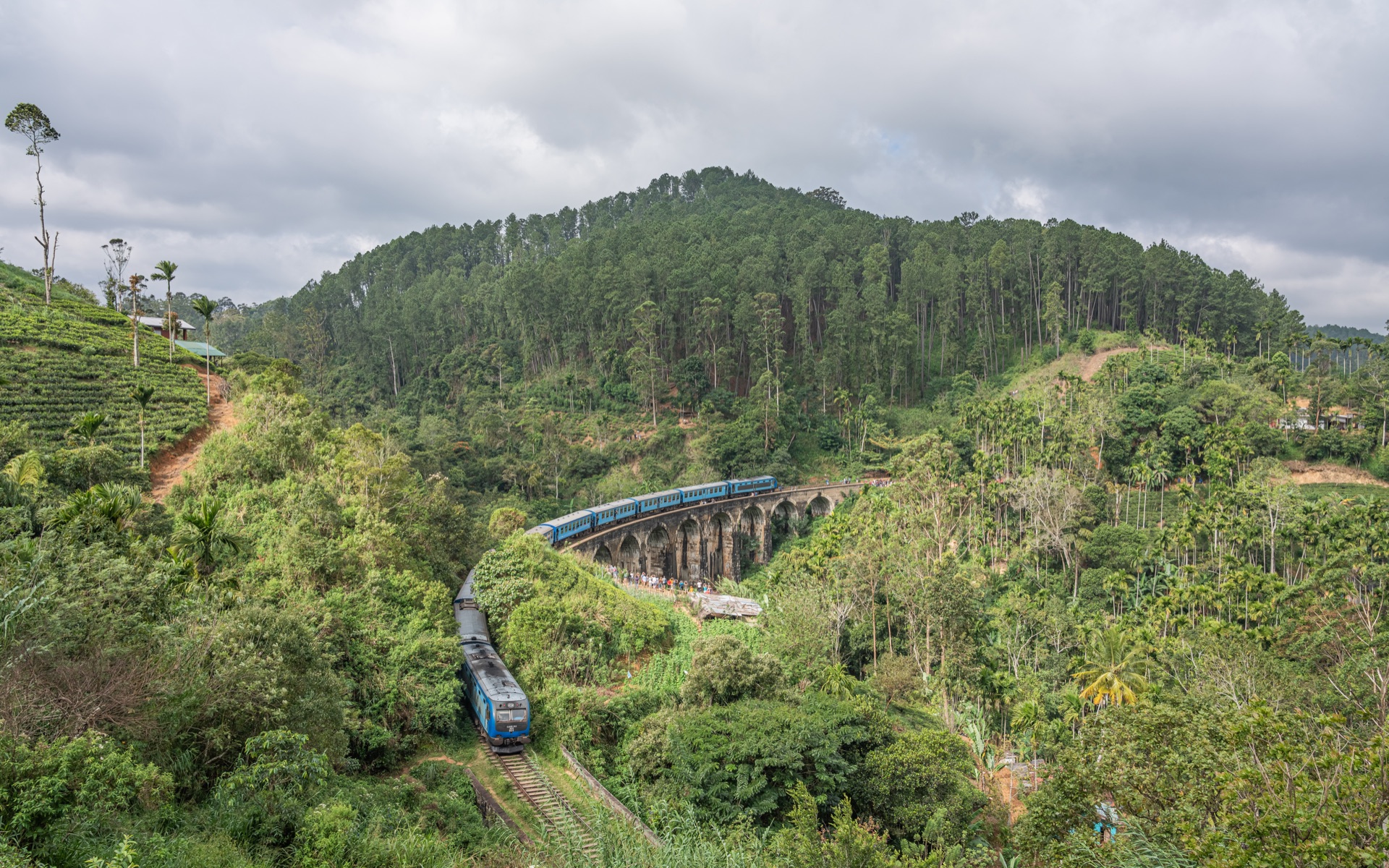 Scenic train journey through the emerald tea hills of Sri Lanka